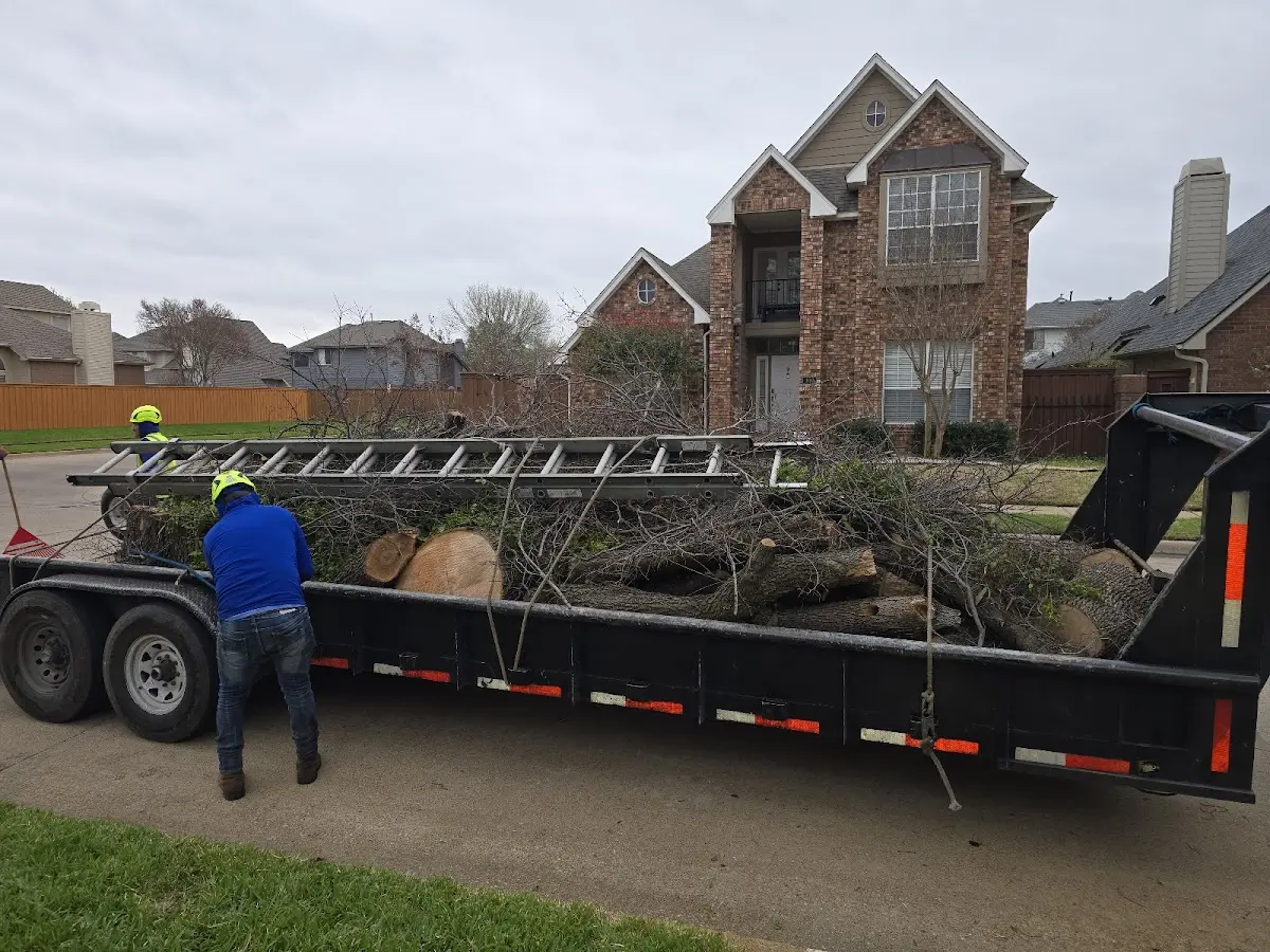 Expert Tree Pest Control with proper safety equipment in Lansing